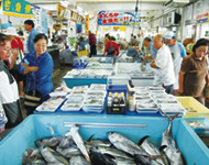 冲绳市渔业协同组合PAYAO直卖店